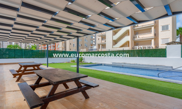 Venta - Apartments - Guardamar del Segura - Guardamar