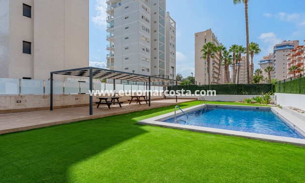 Venta - Apartments - Guardamar del Segura - Guardamar