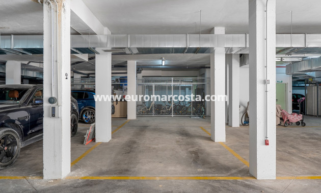Venta - Apartments - Guardamar del Segura - Guardamar