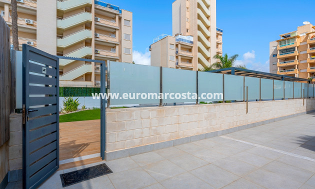 Venta - Apartments - Guardamar del Segura - Guardamar