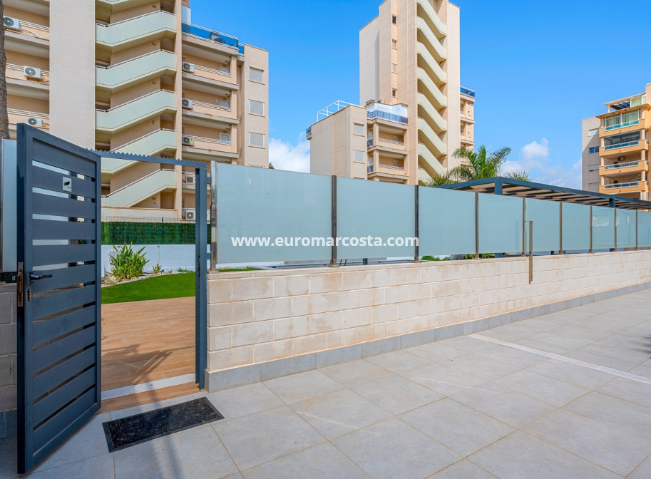 Venta - Apartments - Guardamar del Segura - Guardamar