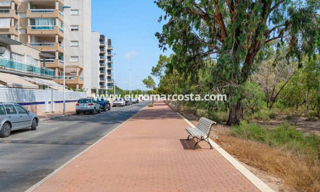 Venta - Apartments - Guardamar del Segura - Guardamar