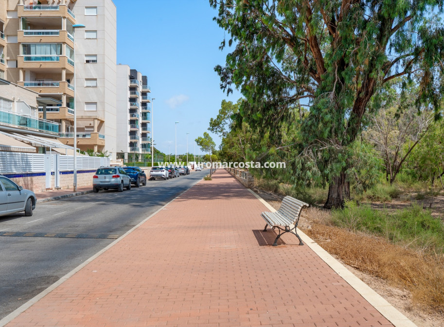 Venta - Apartments - Guardamar del Segura - Guardamar