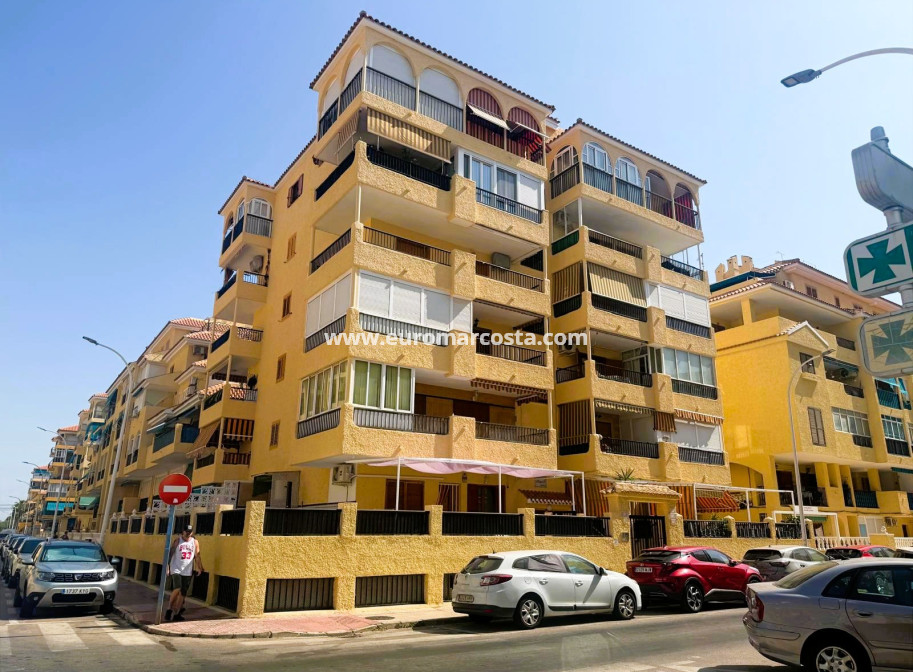 Venta - Apartamento / piso - La Mata