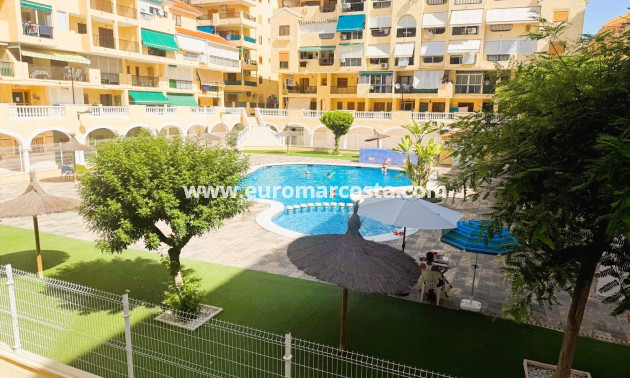 Venta - Apartamento / piso - La Mata