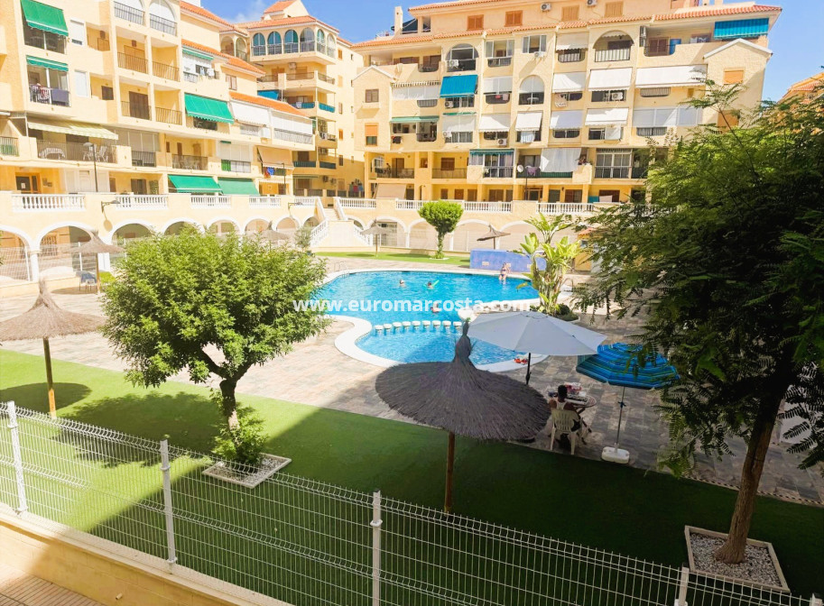 Venta - Apartamento / piso - La Mata