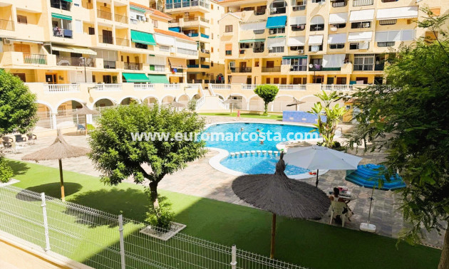 Venta - Apartamento / piso - La Mata