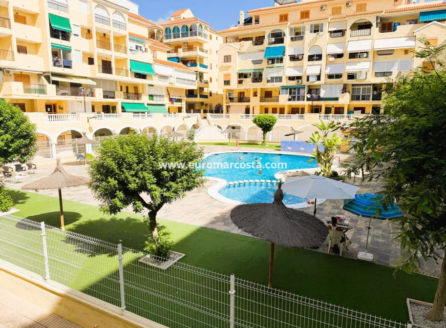 Venta - Apartamento / piso - La Mata