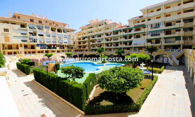 Venta - Apartamento / piso - La Mata