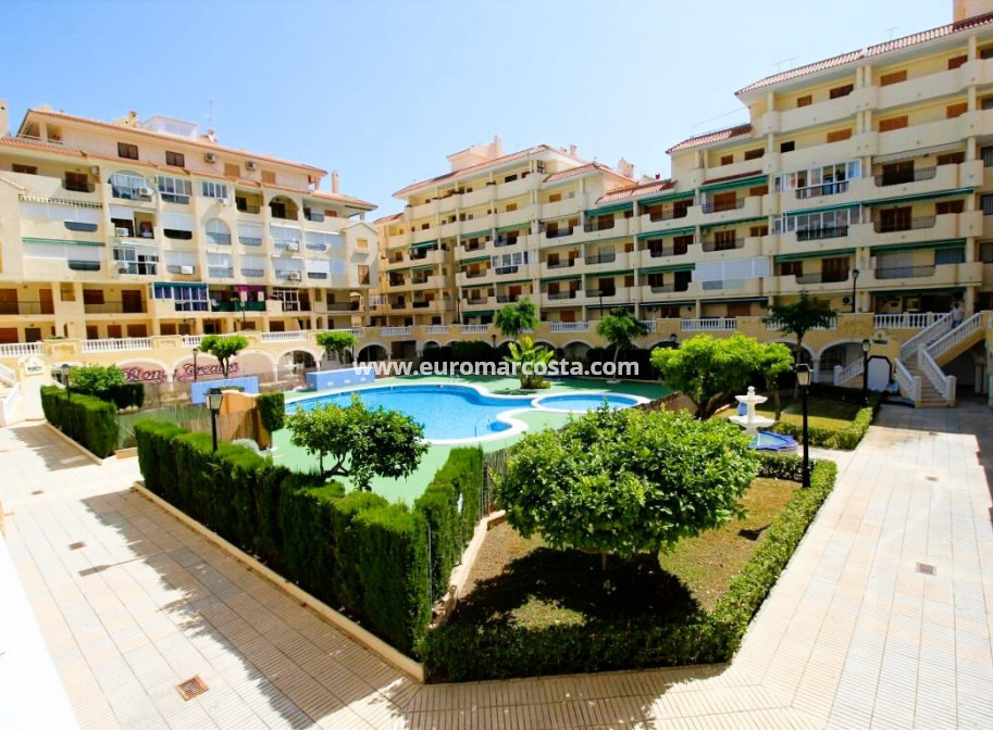 Venta - Apartamento / piso - La Mata
