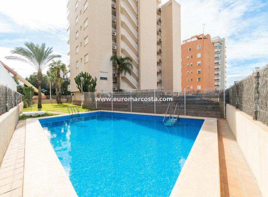 Venta - Apartamento / piso - Guardamar del Segura - Puerto Deportivo