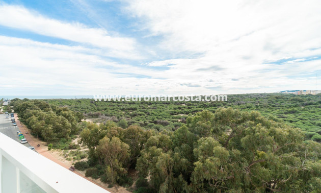 Venta - Apartamento / piso - Guardamar del Segura - Puerto Deportivo