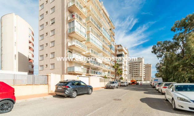 Venta - Apartamento / piso - Guardamar del Segura - Puerto Deportivo