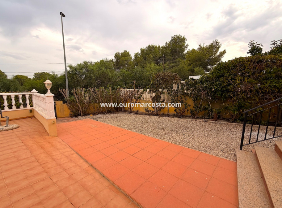 Sale - Quad - Algorfa