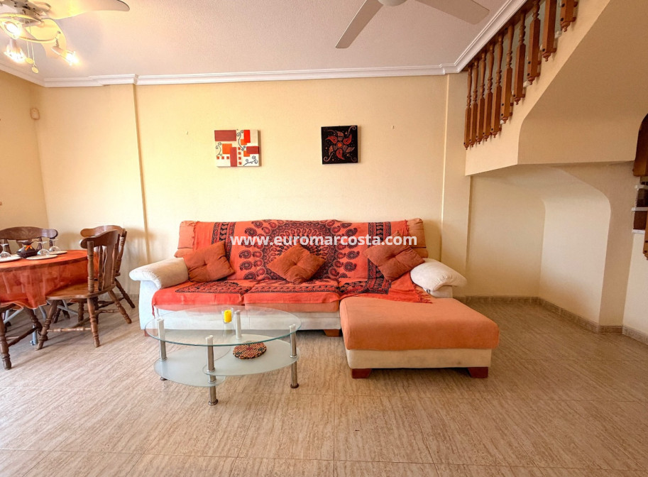 Sale - Quad - Algorfa