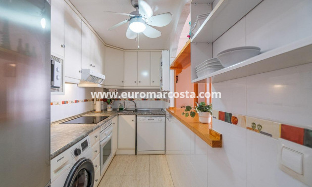 Langzeitmiete - Wohnung - Torrevieja - La Mata