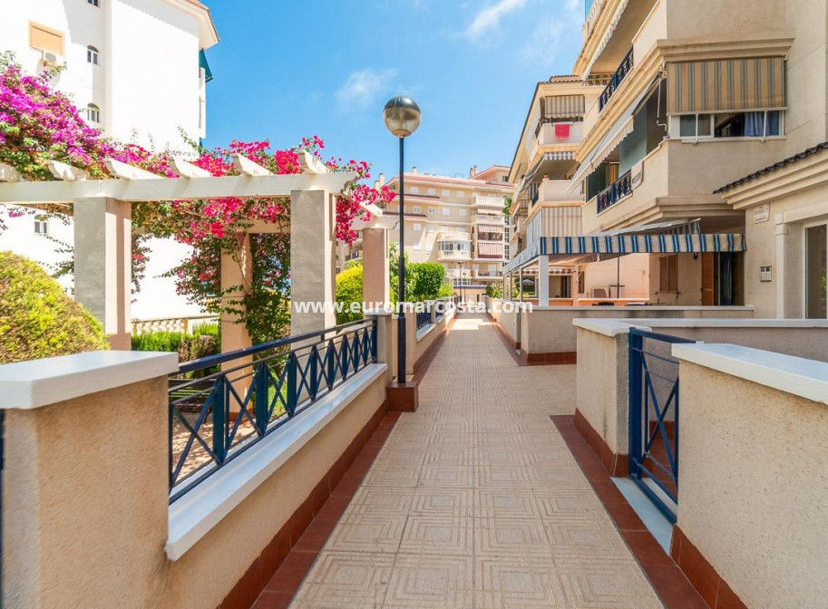 Langzeitmiete - Wohnung - Torrevieja - La Mata