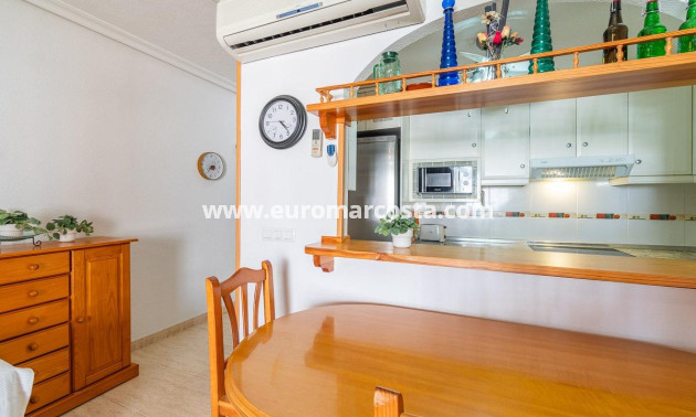 Langzeitmiete - Wohnung - Torrevieja - La Mata