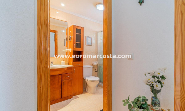 Langzeitmiete - Wohnung - Torrevieja - La Mata
