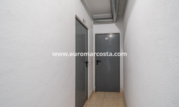Langzeitmiete - Wohnung - Torrevieja - La Mata