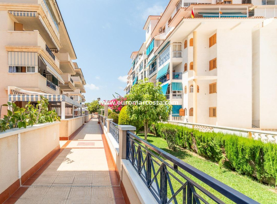Langzeitmiete - Wohnung - Torrevieja - La Mata