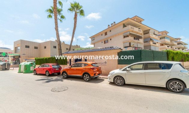 Langzeitmiete - Wohnung - Torrevieja - La Mata