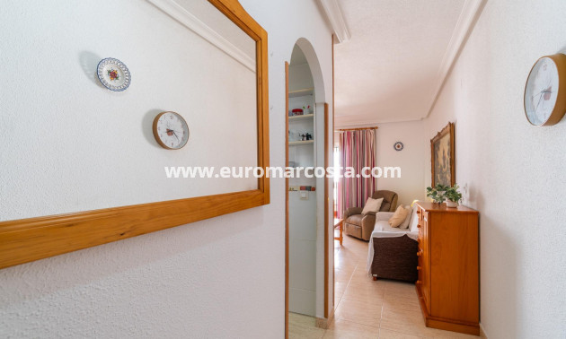 Langzeitmiete - Wohnung - Torrevieja - La Mata