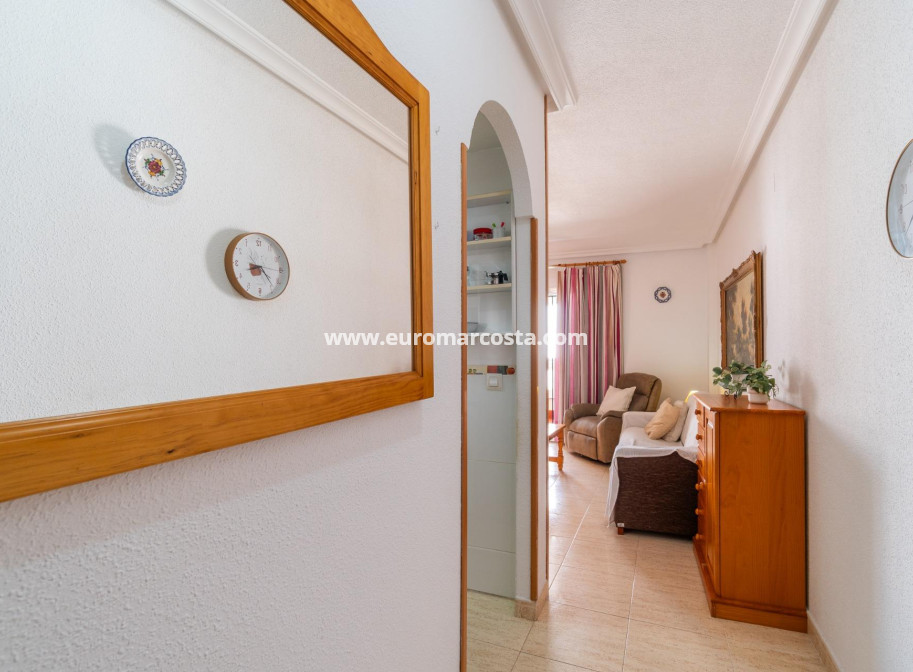 Langzeitmiete - Wohnung - Torrevieja - La Mata