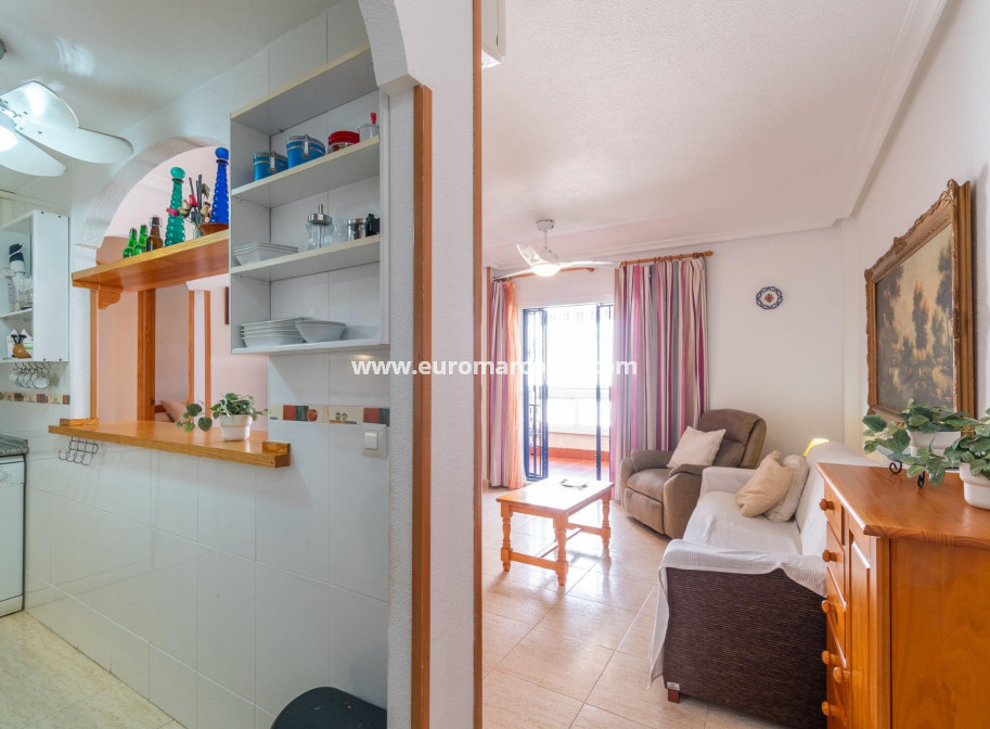 Langzeitmiete - Wohnung - Torrevieja - La Mata