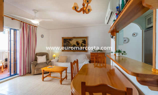 Langzeitmiete - Wohnung - Torrevieja - La Mata