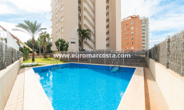 Sale - Apartment / flat - Guardamar del Segura - Puerto Deportivo