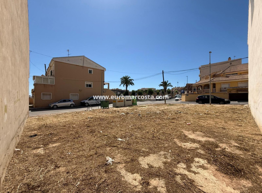 Sale - Plot / Land - San Miguel de Salinas - CENTRO URBANO