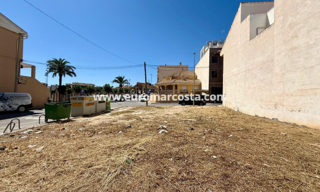 Sale - Plot / Land - San Miguel de Salinas - CENTRO URBANO