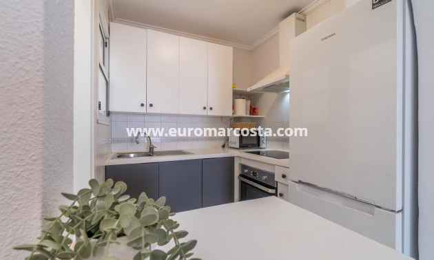 Alquiler a largo plazo - Apartamento / piso - Orihuela Costa