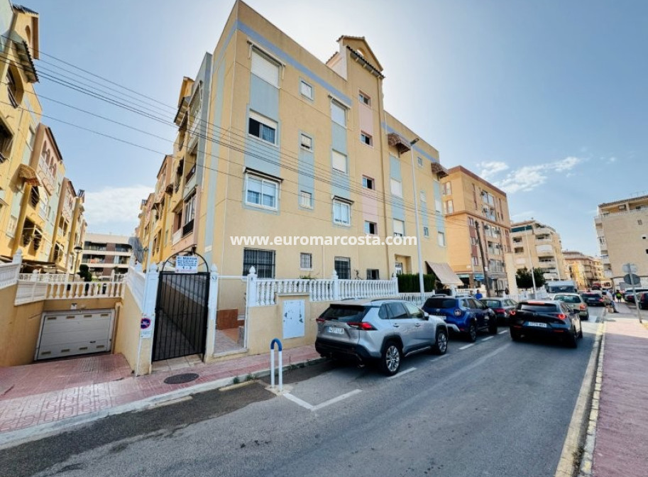 Venta - Apartamento / piso - La Mata - TORREVIEJA