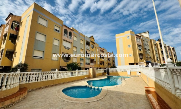 Venta - Apartamento / piso - La Mata - TORREVIEJA