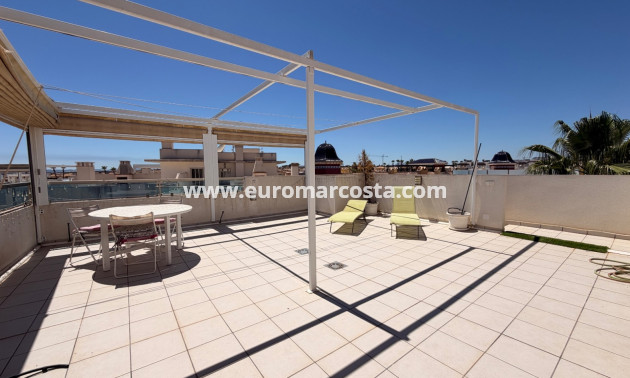Venta - Apartamento / piso - Ciudad Quesada