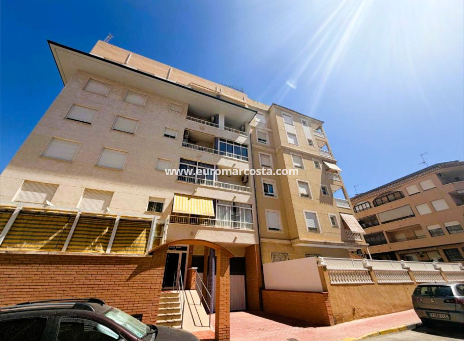 Venta - Apartamento / piso - Guardamar del Segura