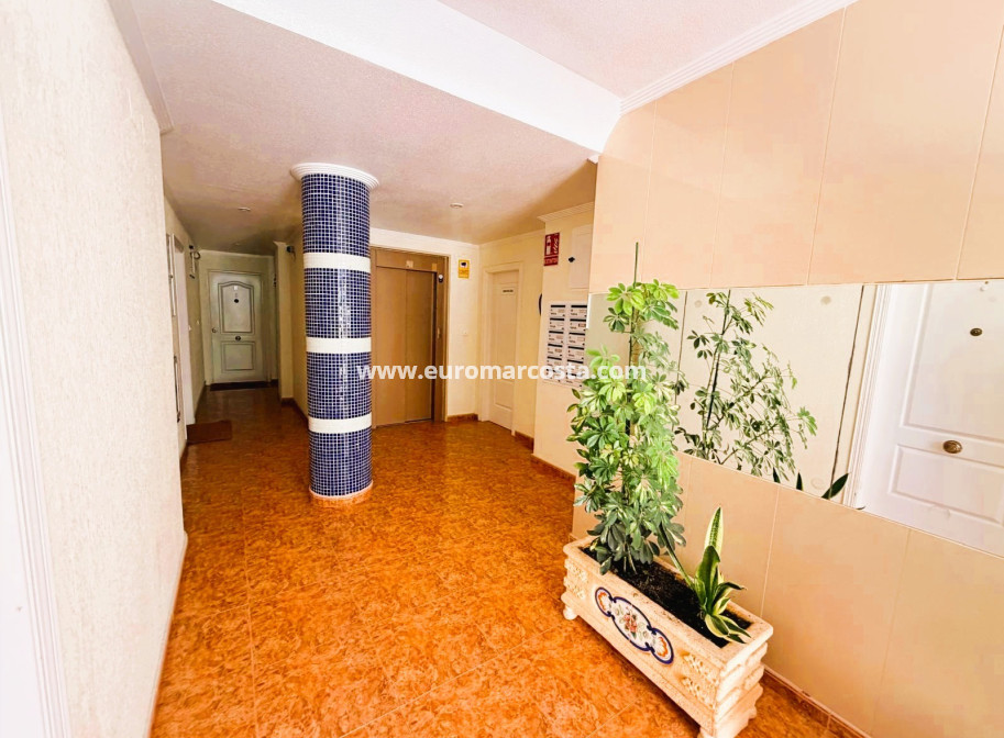 Venta - Apartamento / piso - Guardamar del Segura