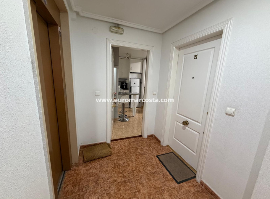 Venta - Apartamento / piso - Guardamar del Segura