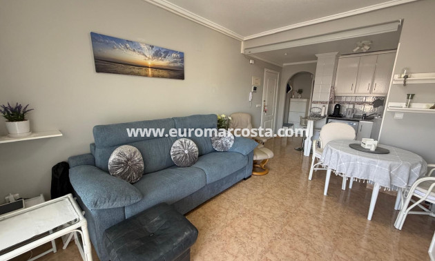 Venta - Apartamento / piso - Guardamar del Segura