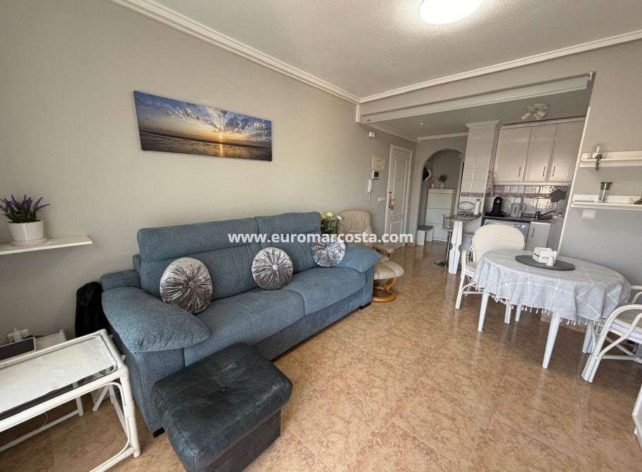 Venta - Apartamento / piso - Guardamar del Segura