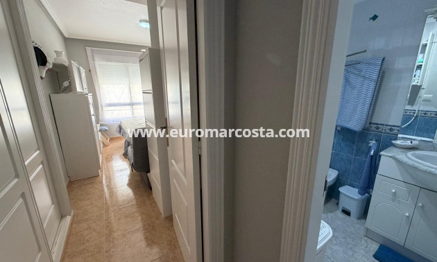 Venta - Apartamento / piso - Guardamar del Segura