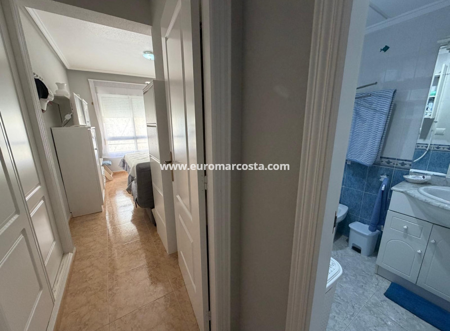 Venta - Apartamento / piso - Guardamar del Segura