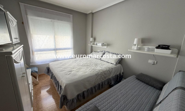 Venta - Apartamento / piso - Guardamar del Segura