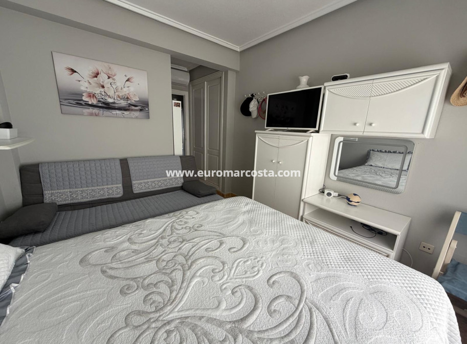 Venta - Apartamento / piso - Guardamar del Segura