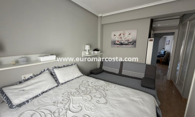 Venta - Apartamento / piso - Guardamar del Segura