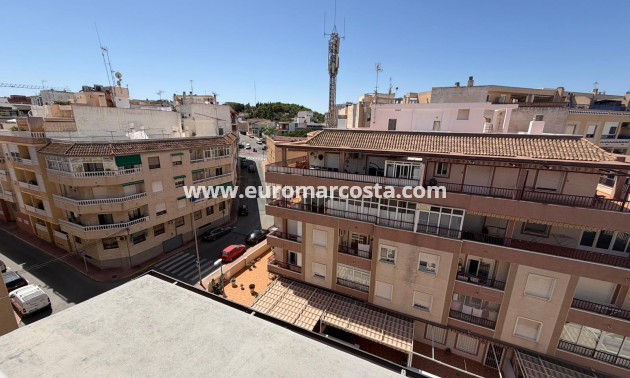 Venta - Apartamento / piso - Guardamar del Segura