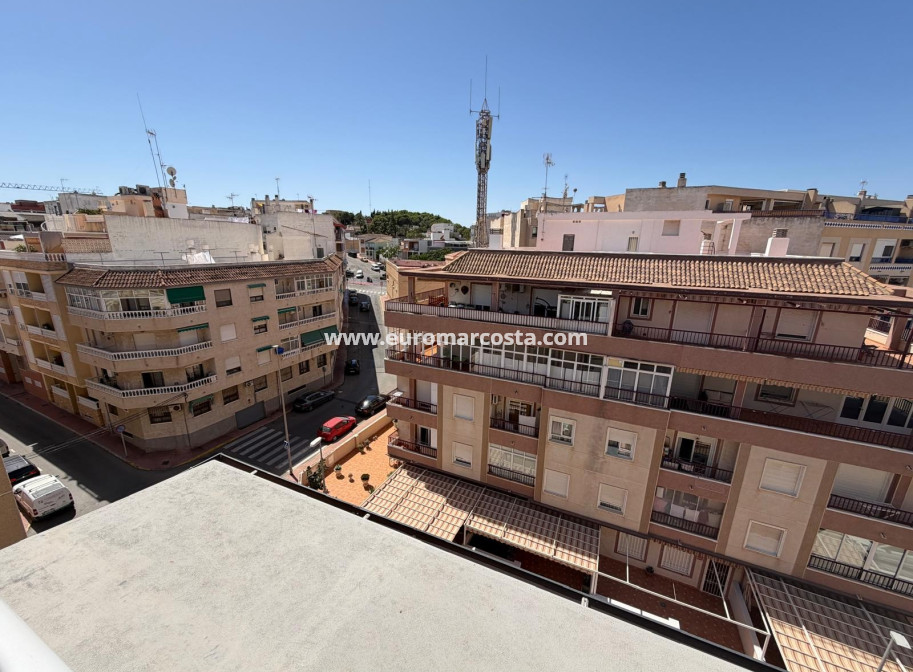 Venta - Apartamento / piso - Guardamar del Segura