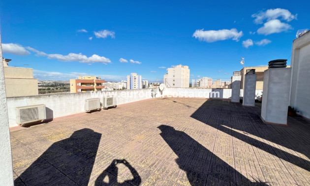 Venta - Apartamento / piso - Guardamar del Segura